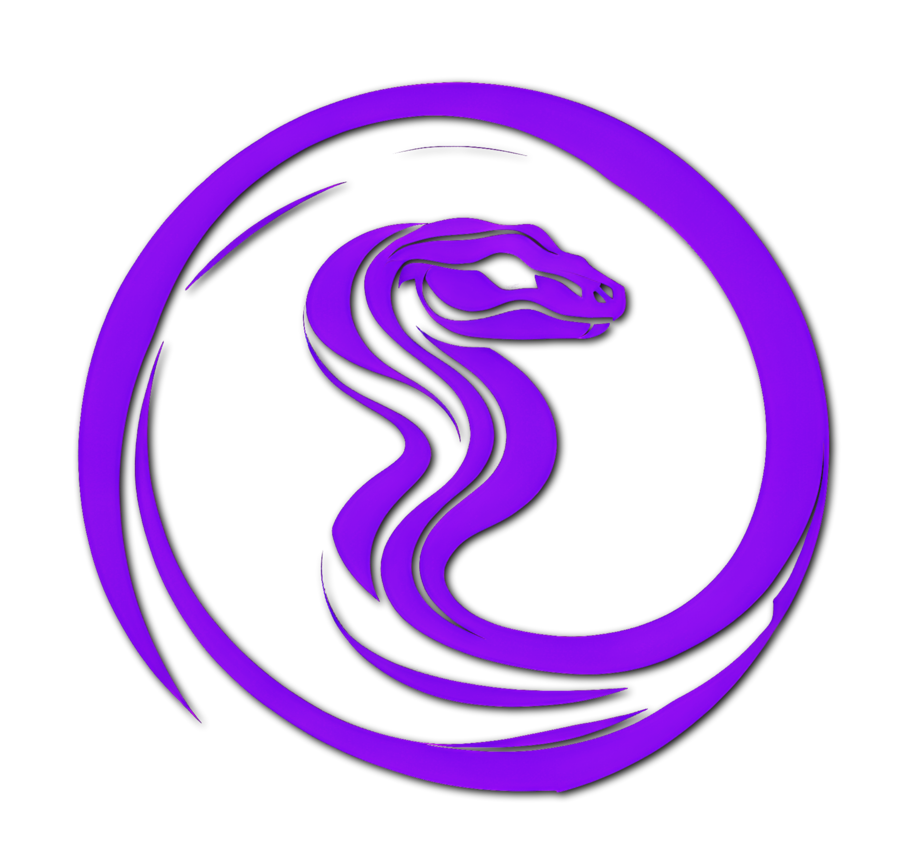 The Ultimate Massage Viper Experience.