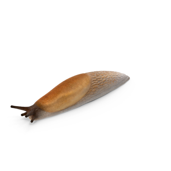 The Rise of NSFW Pixel Art